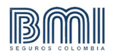 BMI